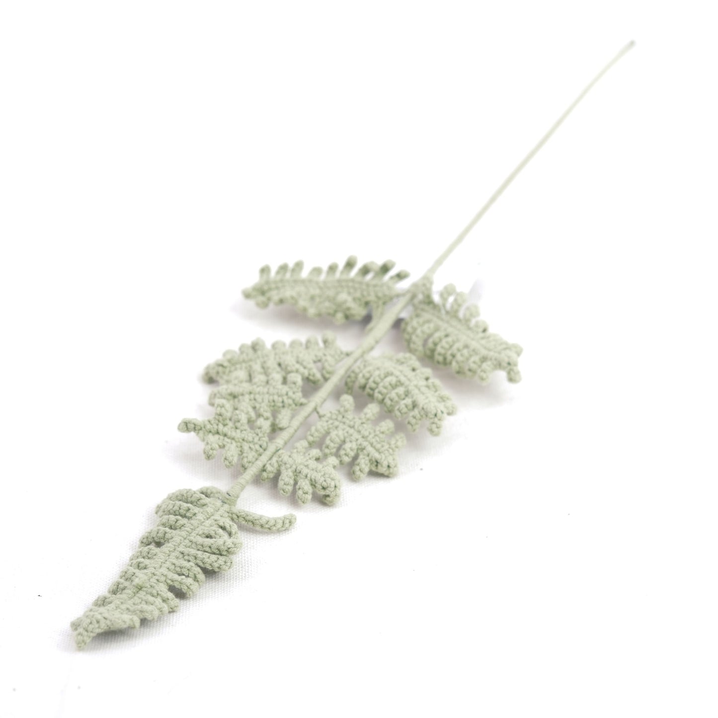 Crochet Plumosus Flower Customize Design CE30243