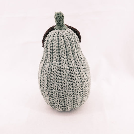 Crochet Squash Pumpkin Memorable CE20121