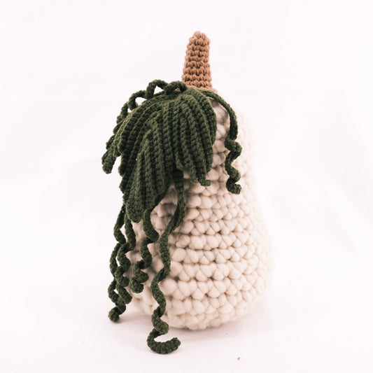 Crochet Squash Handicraft Handmade Garden Gift CE20124