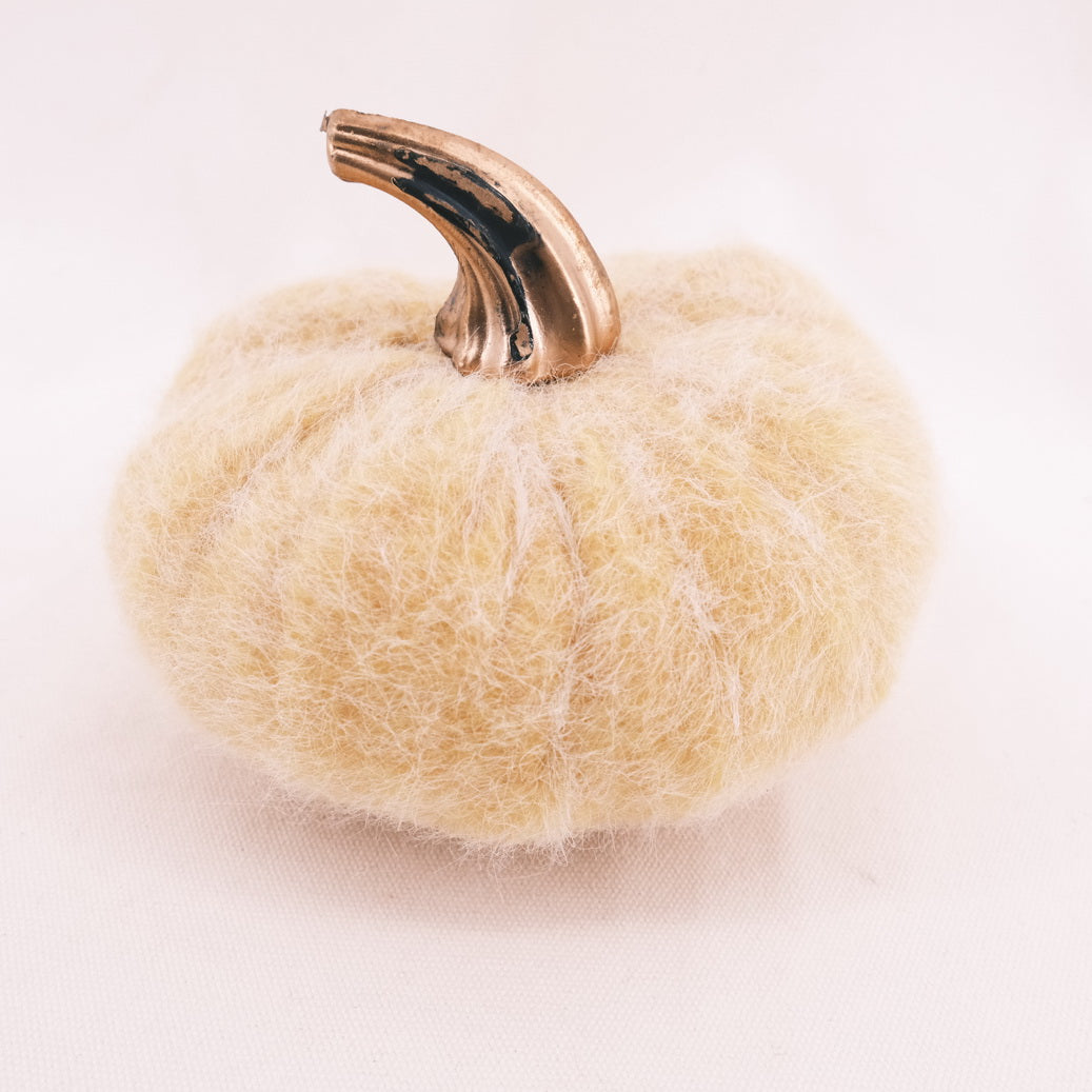 Fabric Pumpkin Hotel Series CE20143