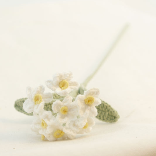 Crochet Forget-Me-Not Flower Handcraft Vase Decoration CE30008