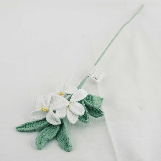 Crochet Jasmine CE30263