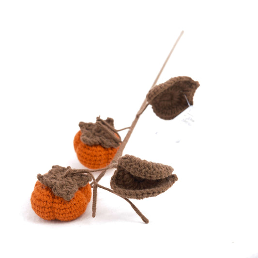 Crochet Persimmon Yarn Handicraft CE30341