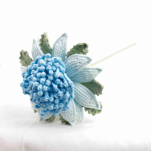 Crochet Protea CE30371