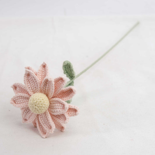Crochet Daisy CE30397