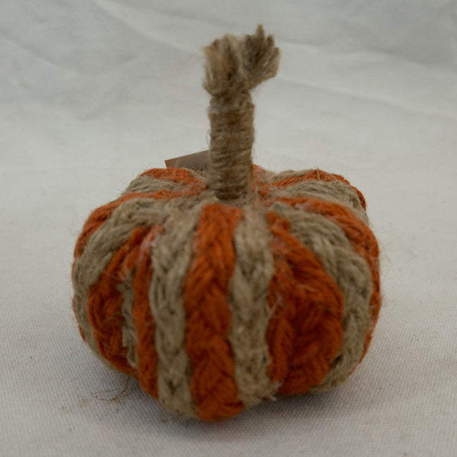 Harvest Fall Autumn Pumpkin Thanksgiving Gift CF20448