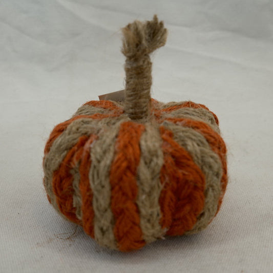 Harvest Fall Autumn Pumpkin Thanksgiving Gift CF20448