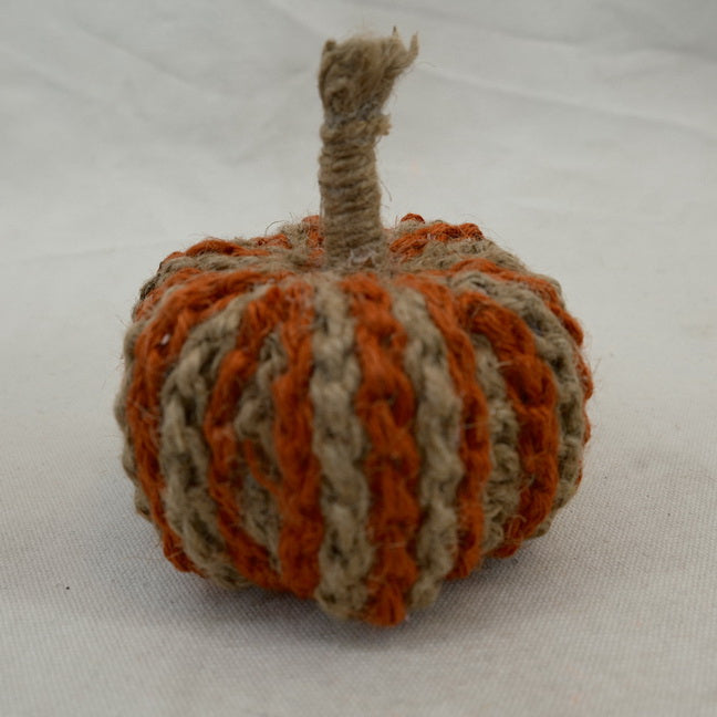 Harvest Fall Autumn Pumpkin Thanksgiving Gift CF20448
