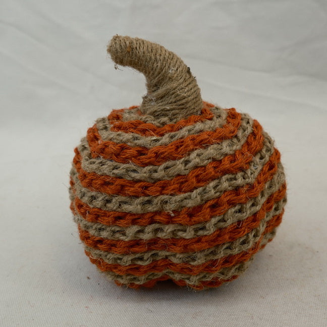 Harvest Fall Autumn Pumpkin Thanksgiving Gift Home Decor CF20451