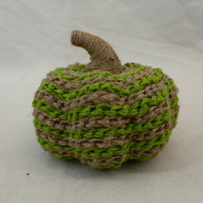 Harvest Fall Autumn Pumpkin Thanksgiving Gift Home Decor CF20451