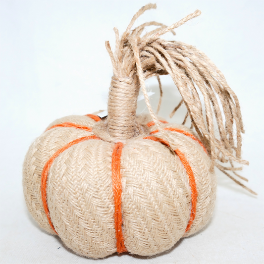 Fall Pumpkin Harvest Yarn CF20506